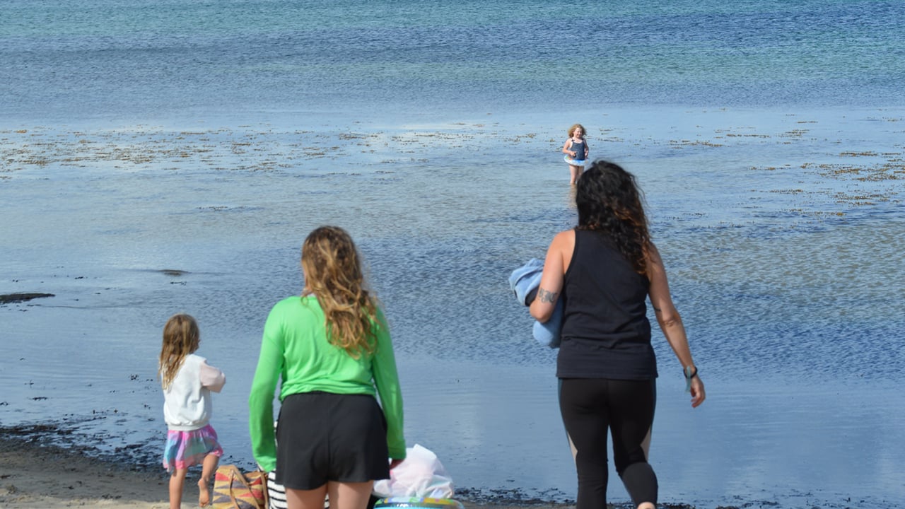 På Österlen är det inte långt mellan campingplatser och ställplatser. Vi valde Kiviks Familjecamping som bas för besöket i denna del av Sverige, som blivit en magnet för två av våra viktiga sinnen – smaken och synen.