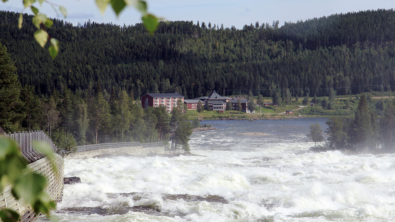 Stig Svanberg, hans fru Eva-Marie och deras två hundar använder sin husbil frekvent från maj till september. En tur till Storforsen vid Piteälvens dalgång har blivit en återkommande favorit. –...